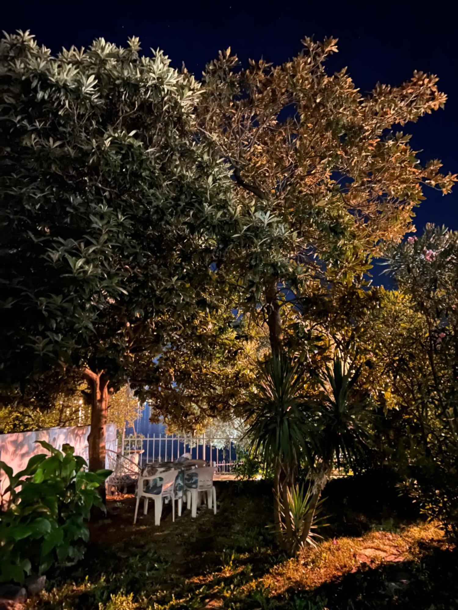 Lemon Tree Villa Kotor Exterior photo